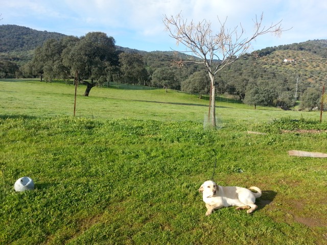 En el campo